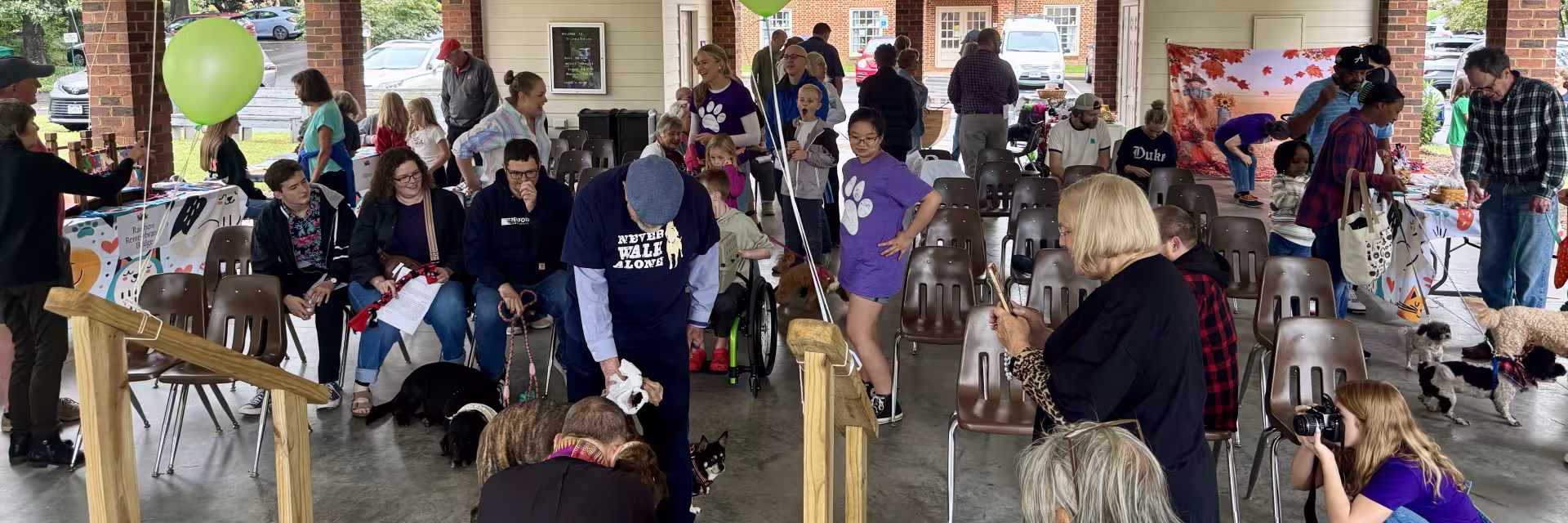 Blessing of the Animals, view from the stage