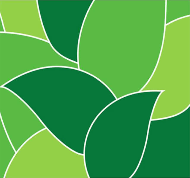 St. James the Less Leaves